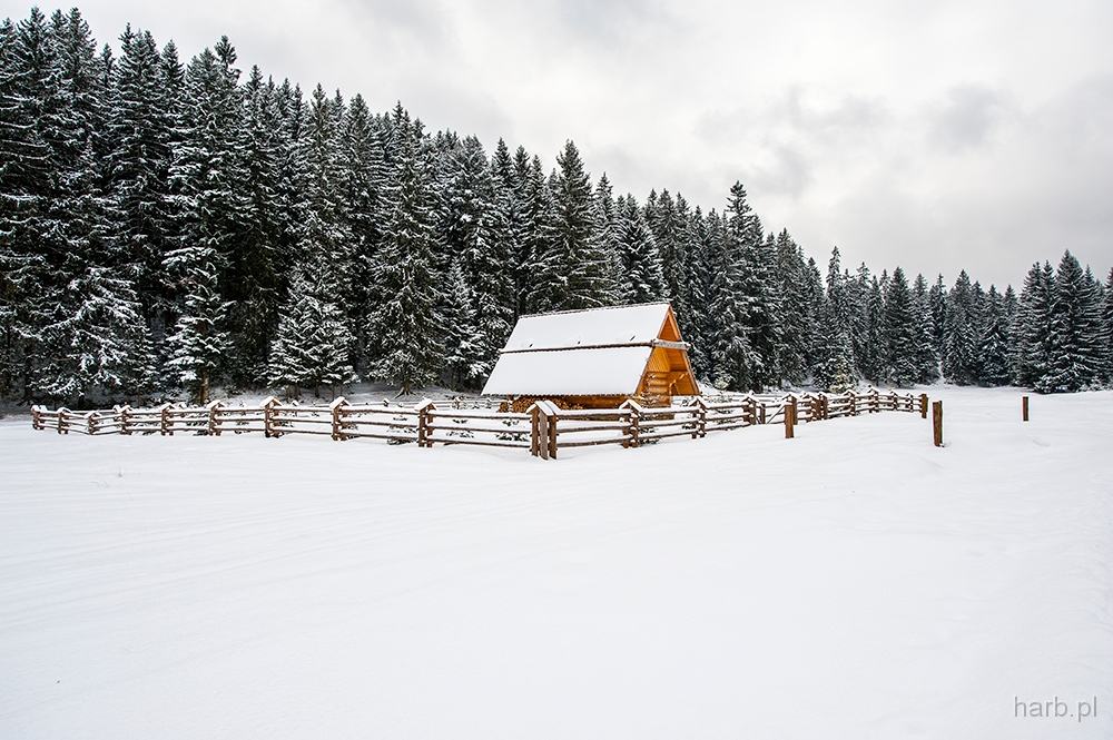 DSC_7118min.jpg - Chatka
