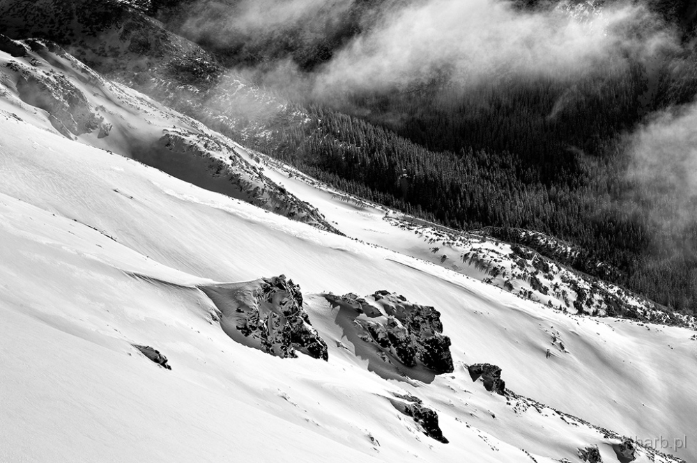 DSC_7507bwK1.jpg - * Zobcze *