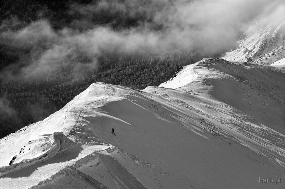 DSC_8039ka1M.jpg - * Narciarz *