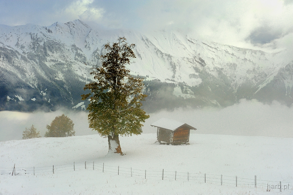 DSC_9856kmin.jpg - Szwajcaria , Acxalp