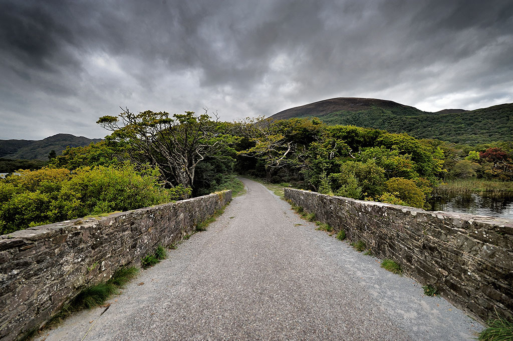 DSC_5458.jpg - * W drogę *