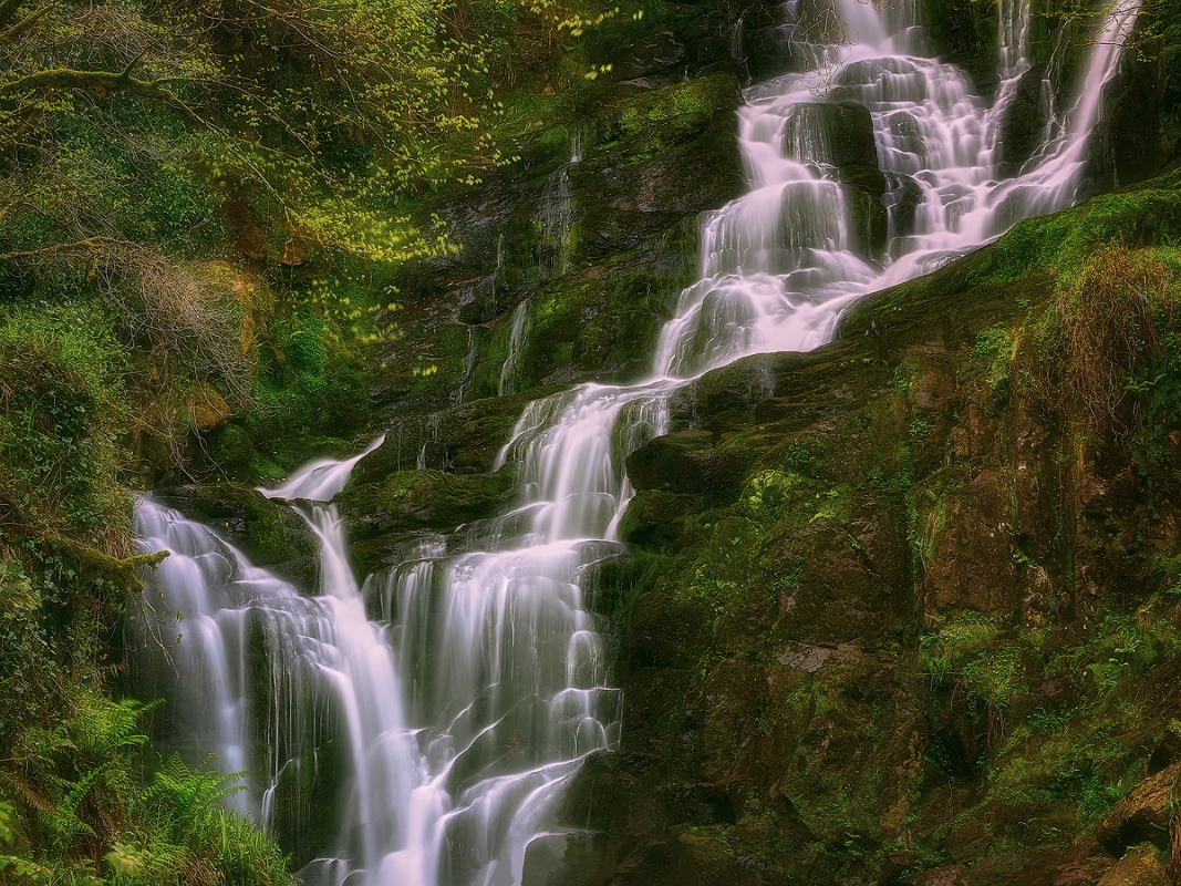 DSC_6040wyjscCropMinD.jpg - * Torc Waterfall * - wodospad  jest atrakcją turystyczną, okolice Killarney w hrabstwie Kerry