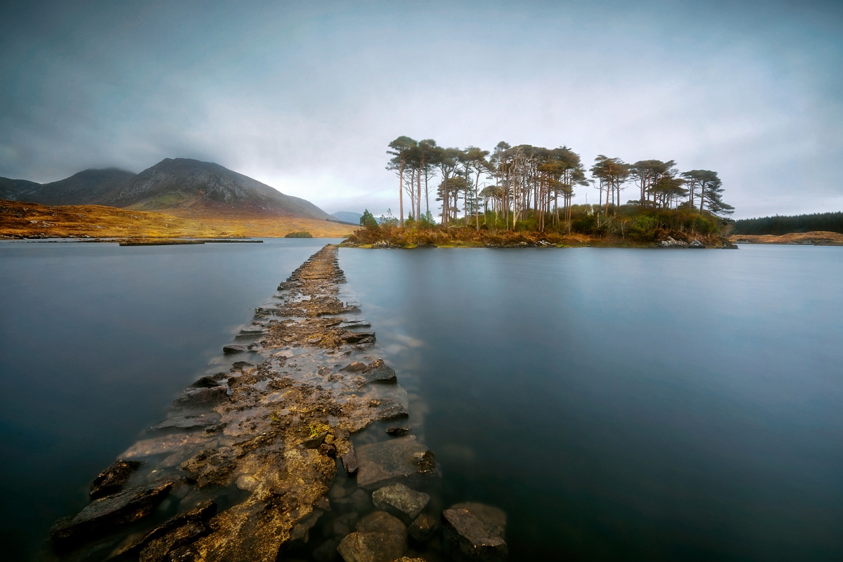 DSC_6202AMinD.jpg - Connemara