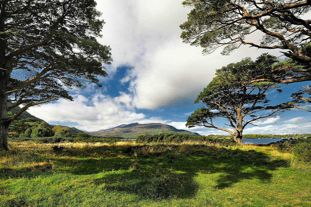 DSC_7104 kopiaO.jpg - * Okolice Killarney *