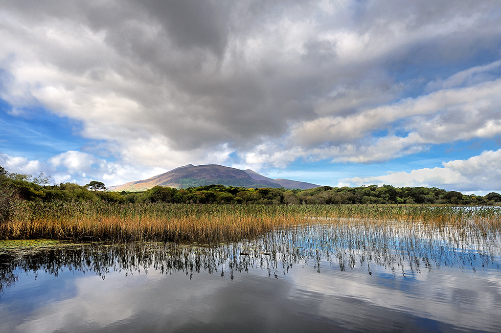 DSC_7231.jpg - * Nad jeziorem - okolice Ross Castle *