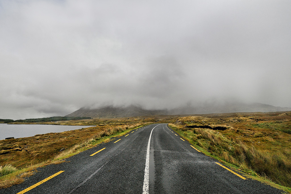 DSC_9218org.jpg - * We mgle *