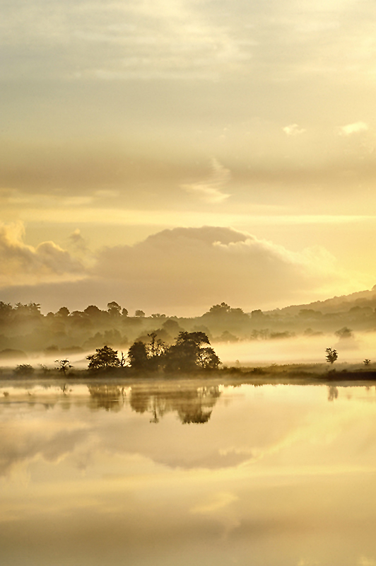 DSC_9603orgA4ab.jpg - * Poranek nad rzeką Shannon  II *