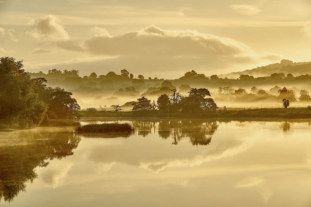 DSC_9617orgk2min.jpg - Poranek nad rzeką Shannon