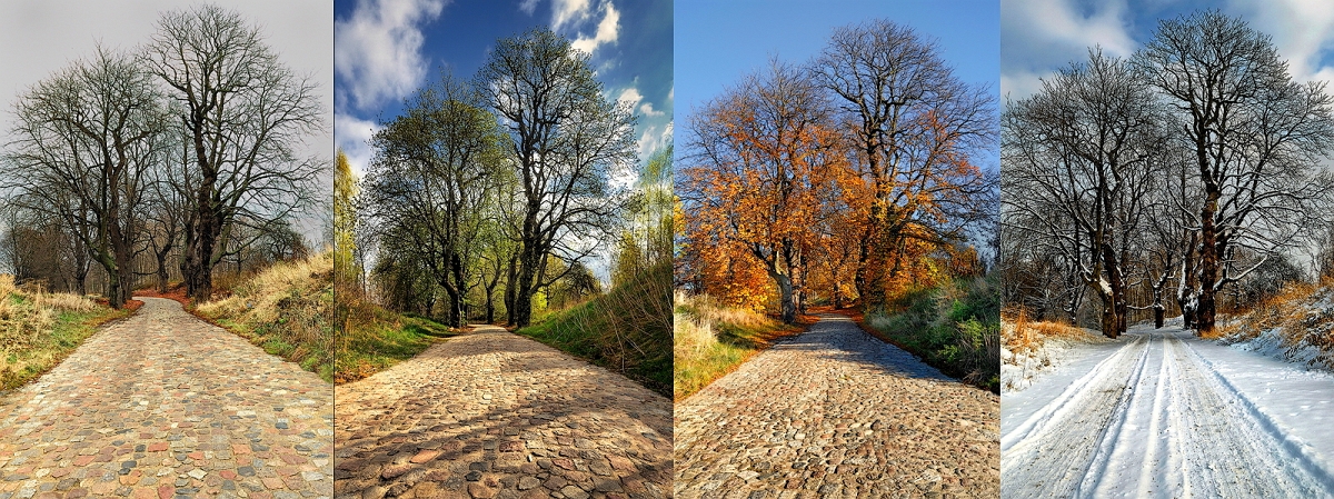 Cztery pory poziomPopraw.jpg