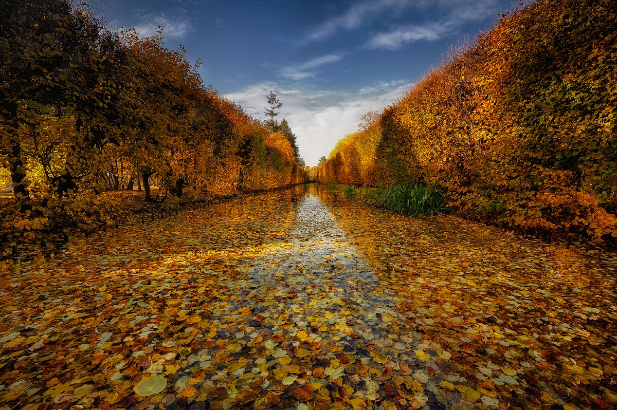 DSC_5940najAMinD.jpg - Jesienny park