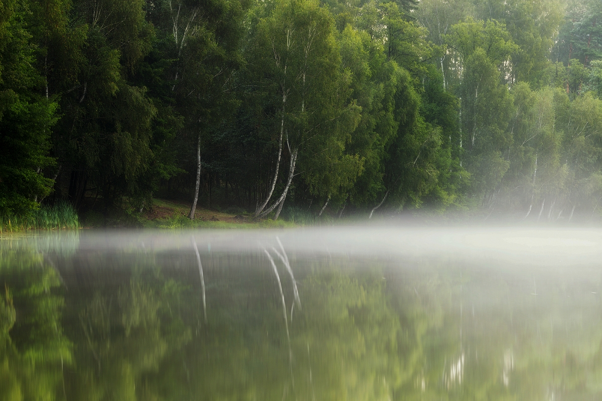 _DSC0270MinD.jpg - Mdlisty poranek