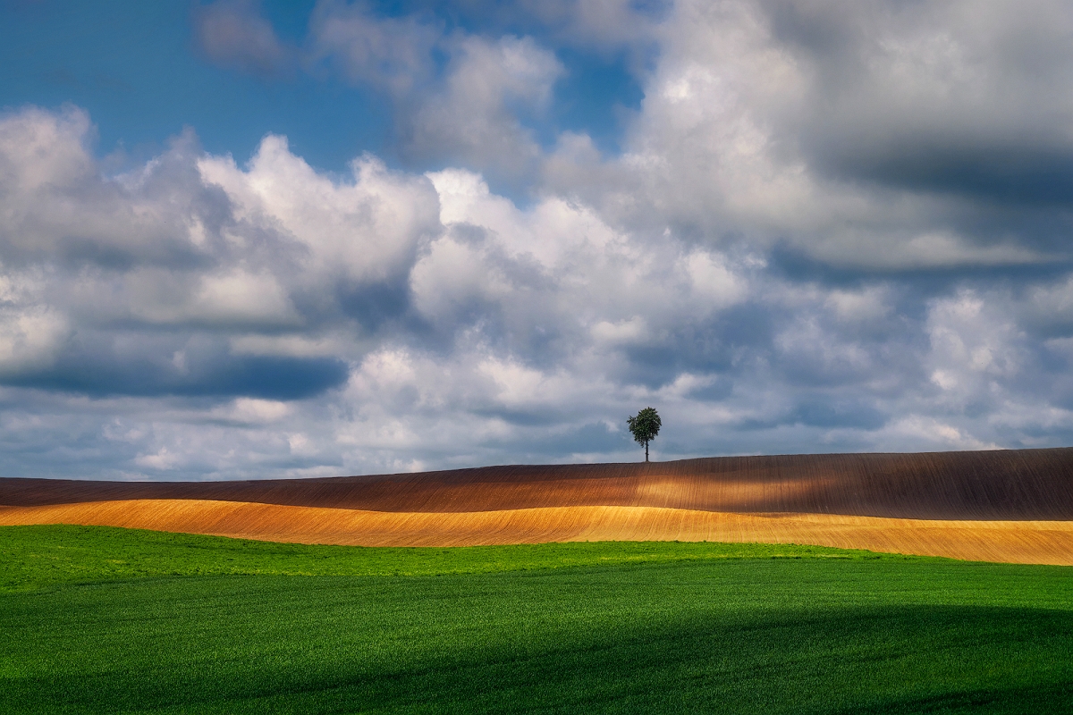 _DSC7060BMinD.jpg - Samotne