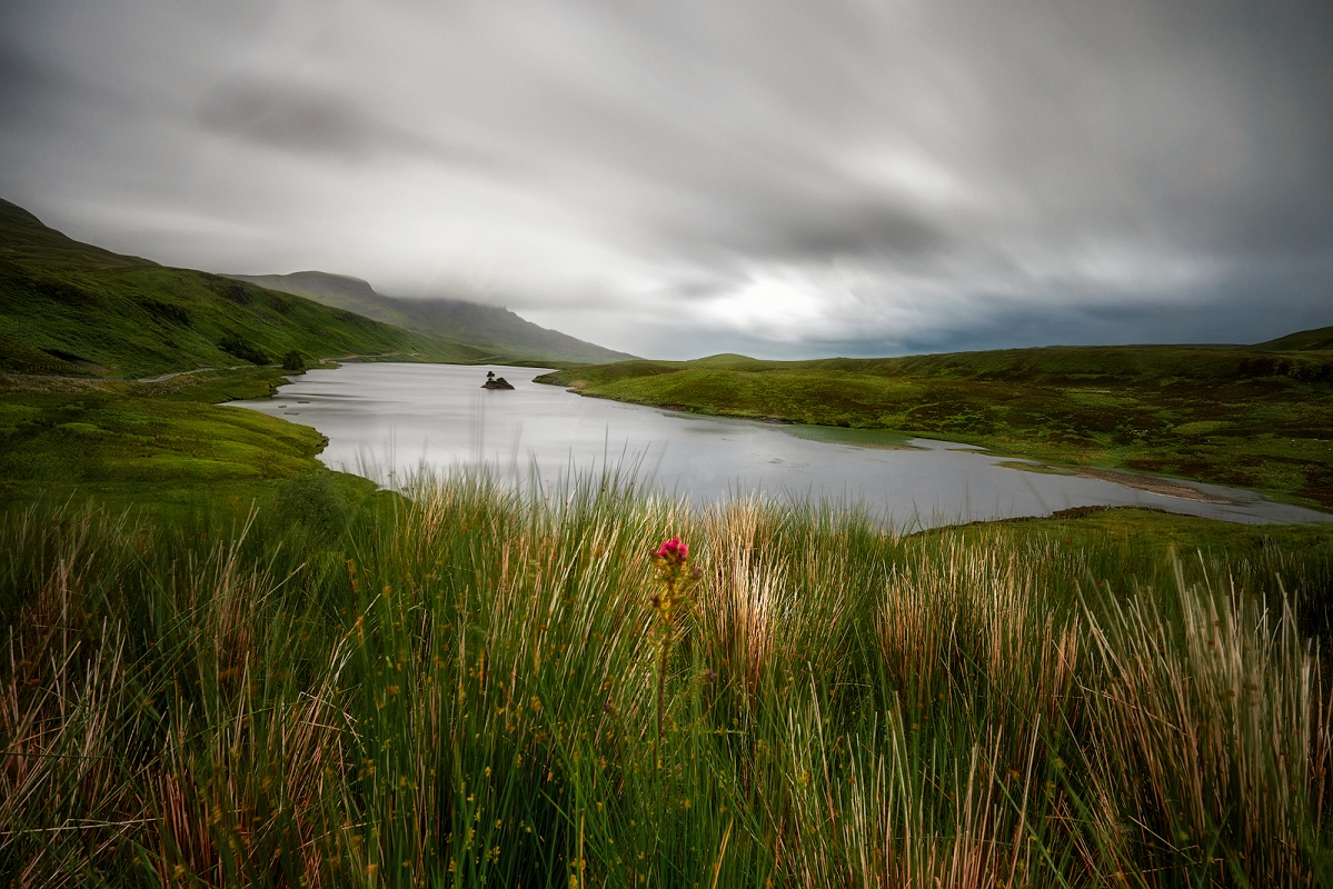 DSC_2706MinD.jpg - Szkocja , wyspa Sky, okolice Elgol