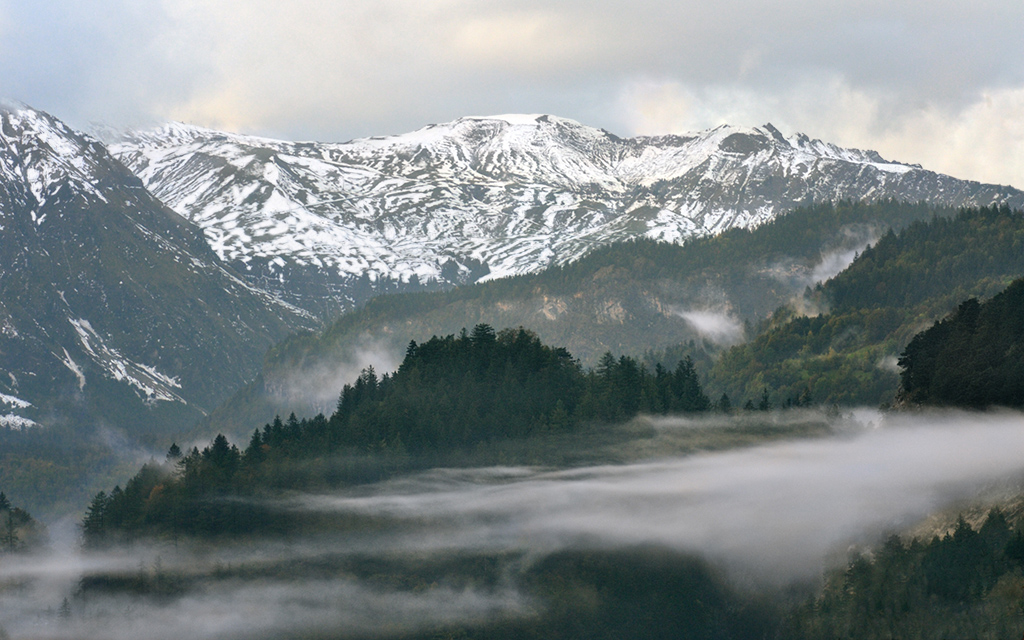 DSC_0462k kopiaA2panMk.jpg - * Mglisto *