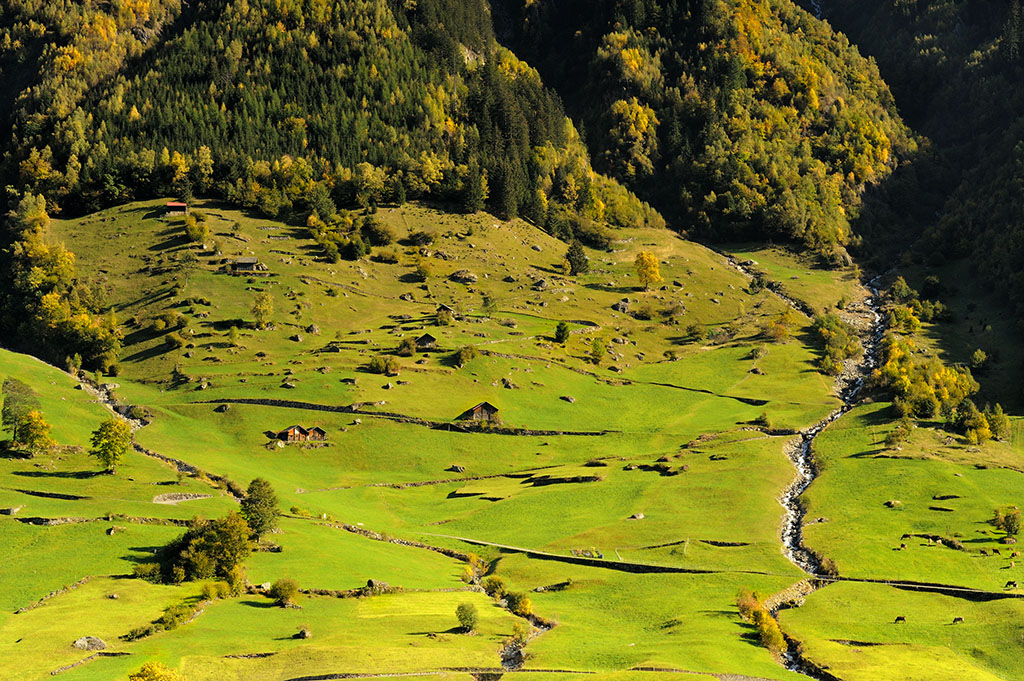 DSC_4963orgM.jpg - * W dolince *