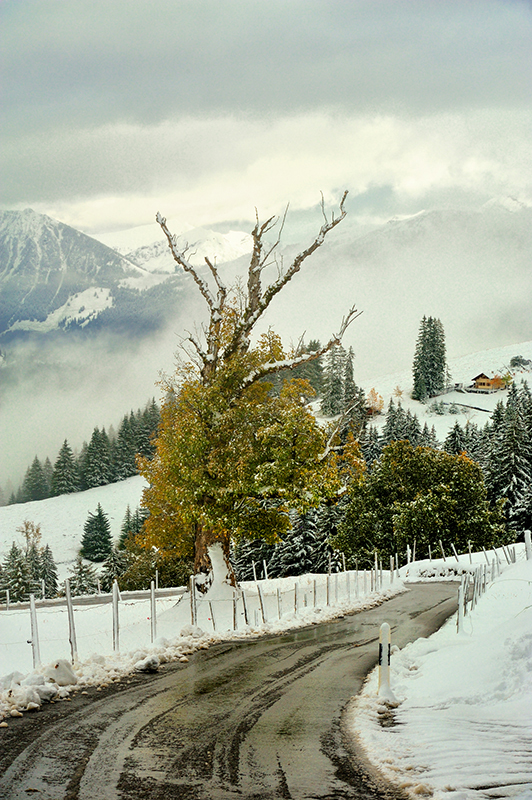 DSC_9847min.jpg - * Jesienno zimowe Alpy - Szwajcaria *