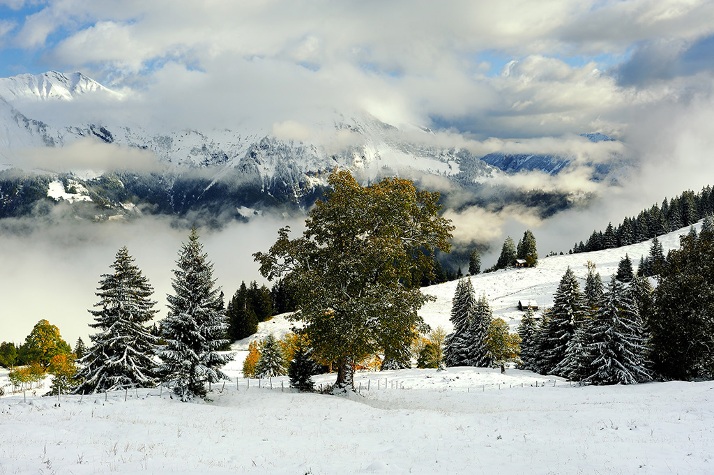 DSC_9915min.jpg - * Zimowa jesien *