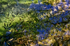 _DSC6780minD