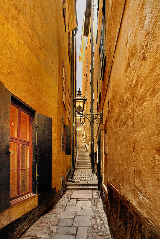 DSC_1867.jpg - *Najwezsza na starowce*