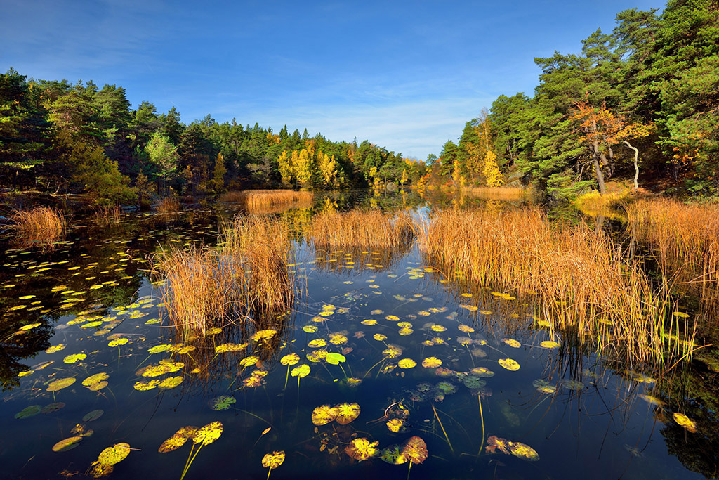 DSC_1362min.jpg - * Nad jeziorem *