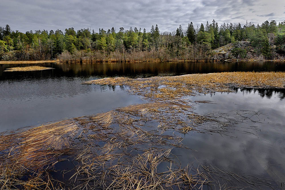 DSC_6156kopia.jpg - *Po zimie*