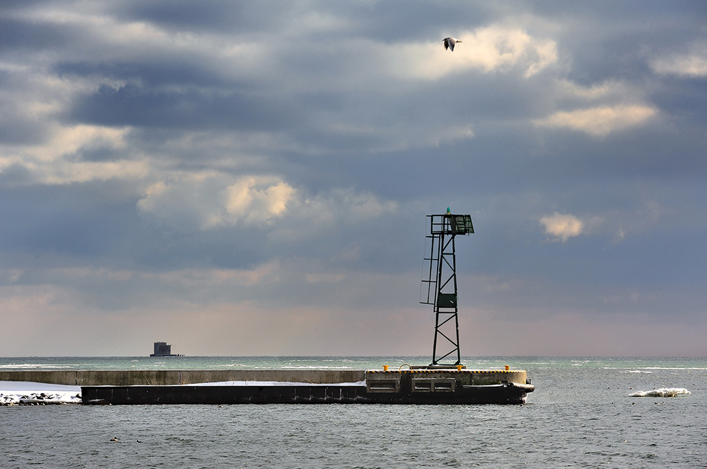 DSC_0934orgBp.jpg - * Nad Zatoką Pucką *