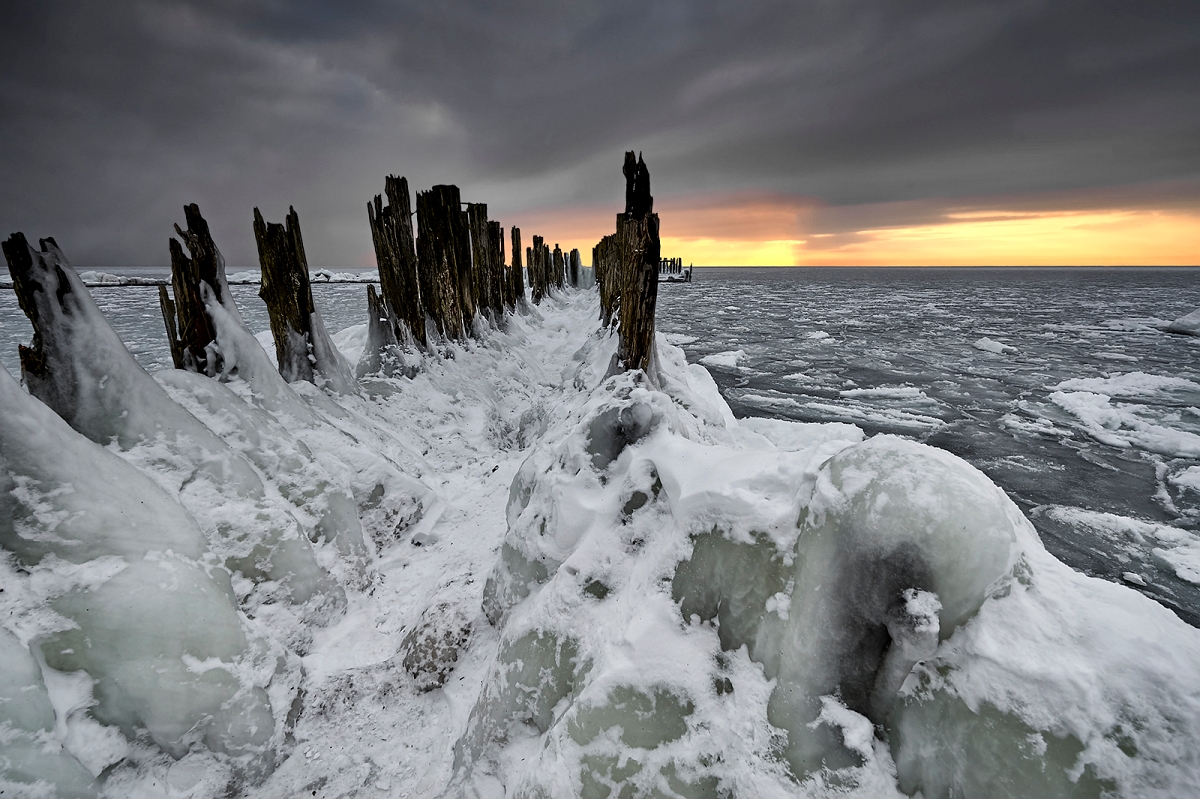 DSC_7655minD.jpg - Palisada