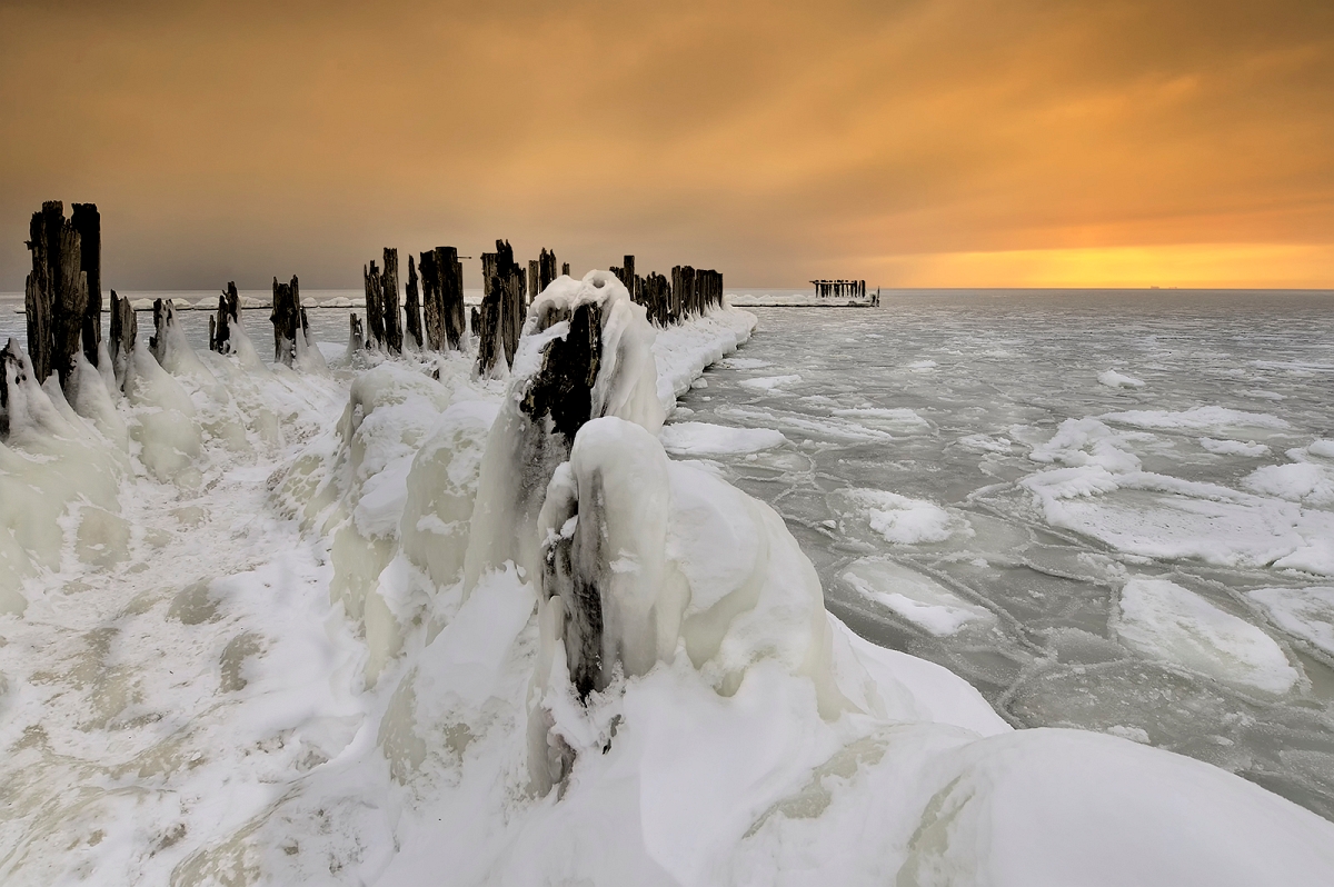 DSC_7716orgMinD.jpg - * Zimowa palisada*