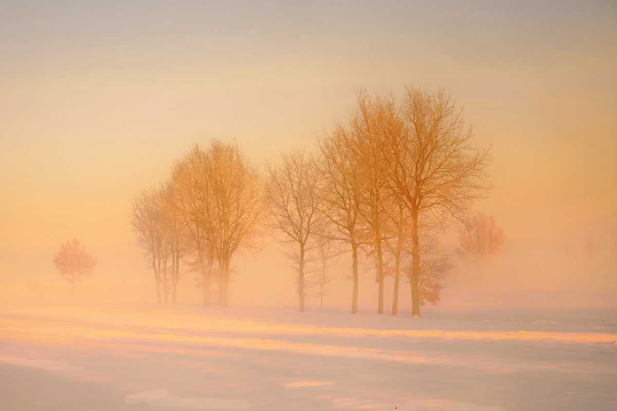 _DSC6061AMinD.jpg - Mrozny poranek