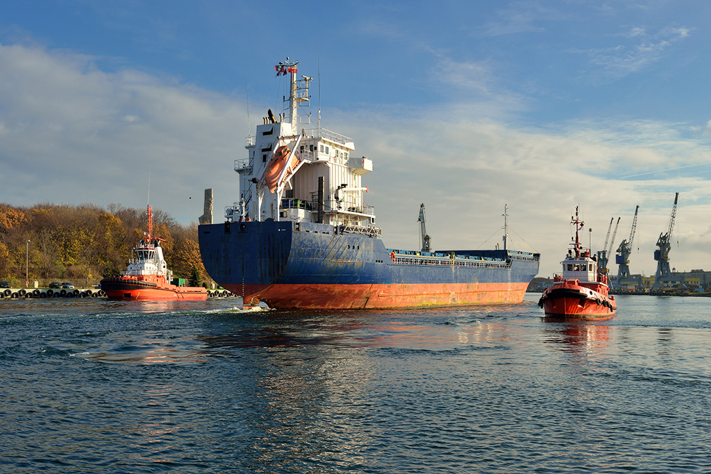 DSC_0055min.jpg - * W porcie *