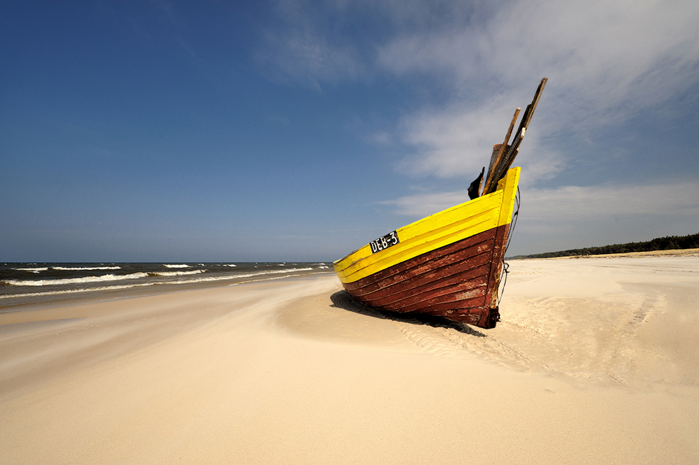 DSC_1137km.jpg - Debki