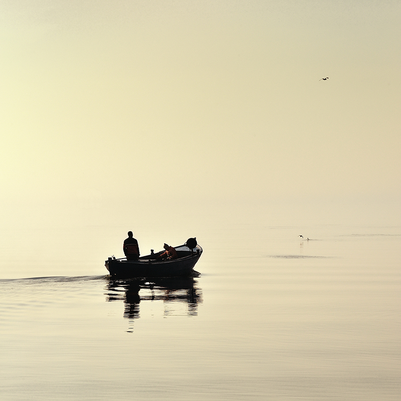 DSC_2013KWADkA kopia1.jpg - * Po rybe - Jastarnia *