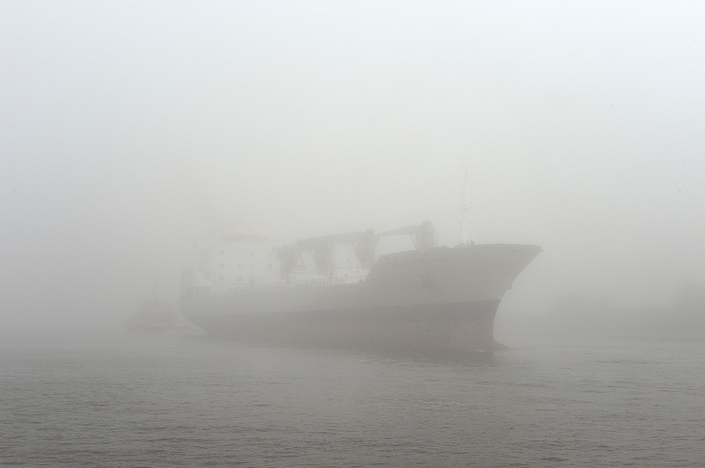 DSC_4161k.jpg - * Widmo *