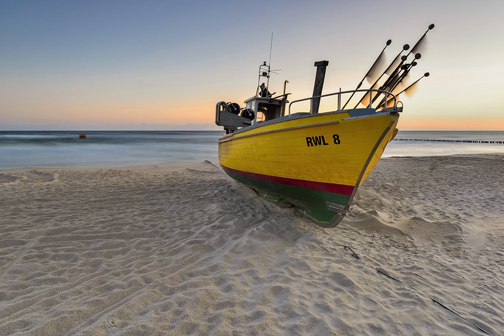 DSC_8049k2aMin.jpg - * Rewal *