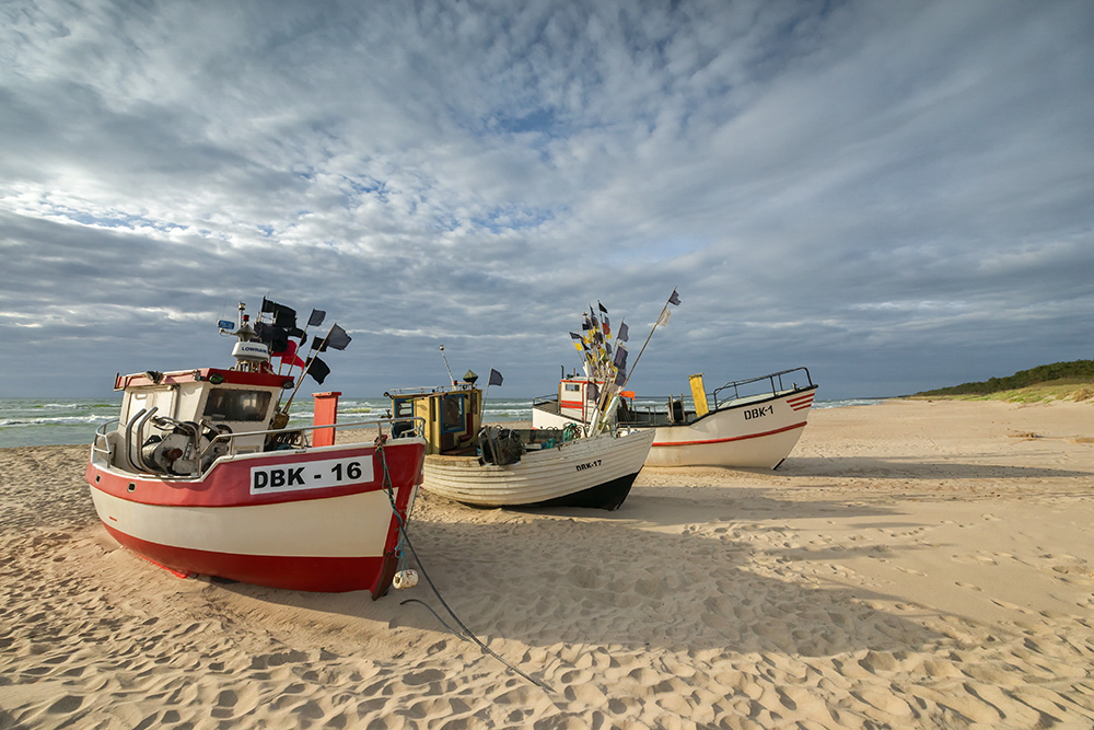 DSC_9003min.jpg - * Kutry *