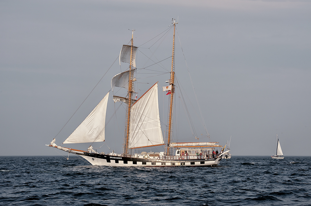 DSC_9030k1min.jpg - * Gdynia 2011, zlot zaglowcow *