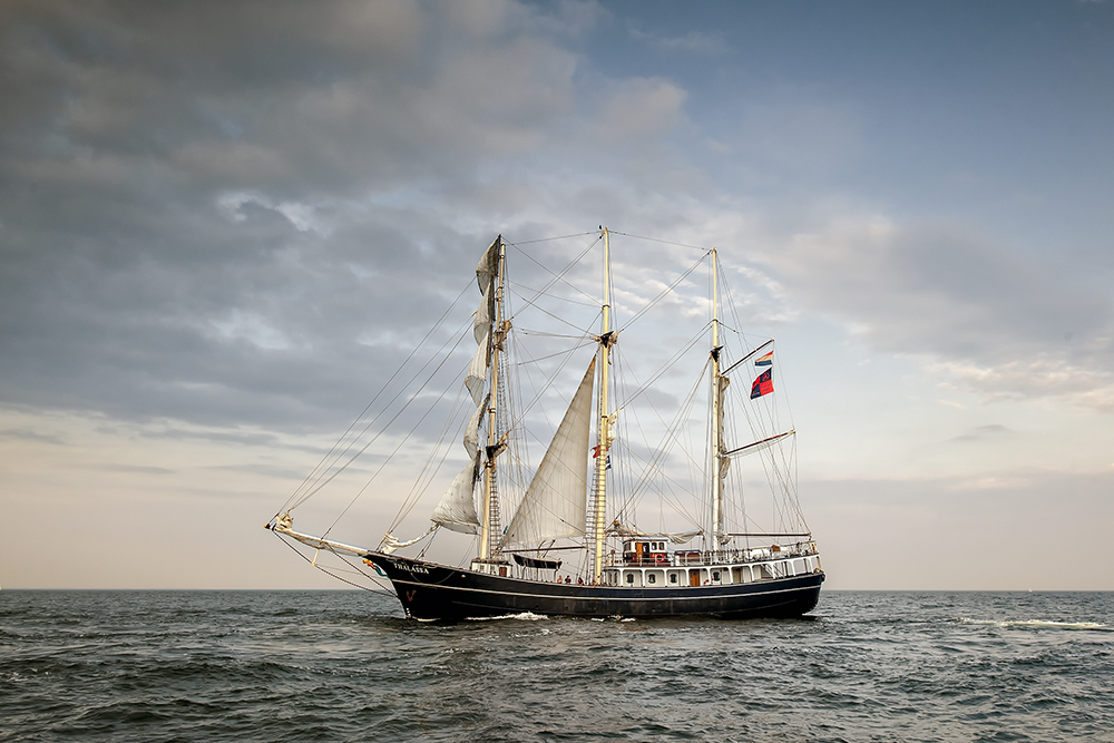 DSC_9199k2min.jpg - * Gdynia 2011, zlot zaglowcow *