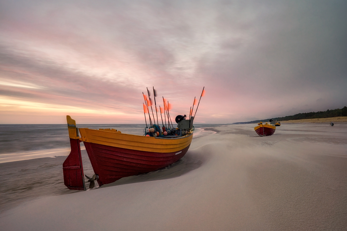 _DSC0107MinD.jpg - Debki