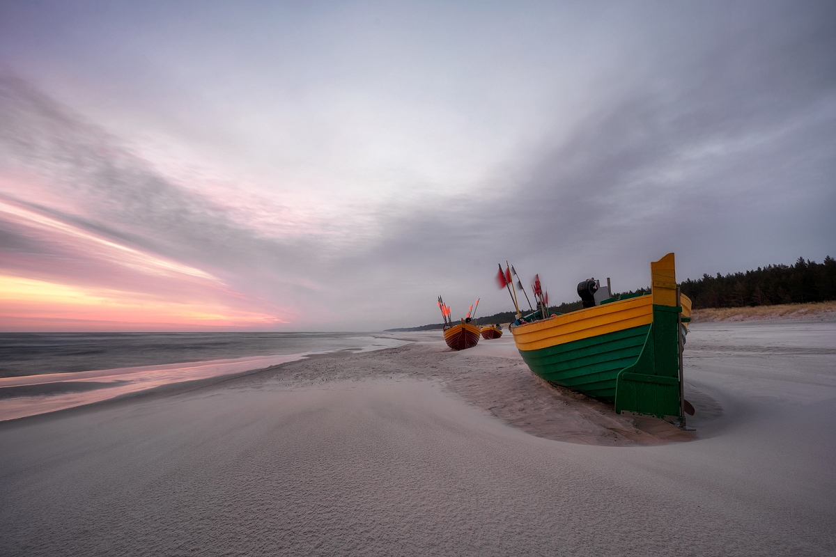 _DSC0114AMinD.jpg - Debki