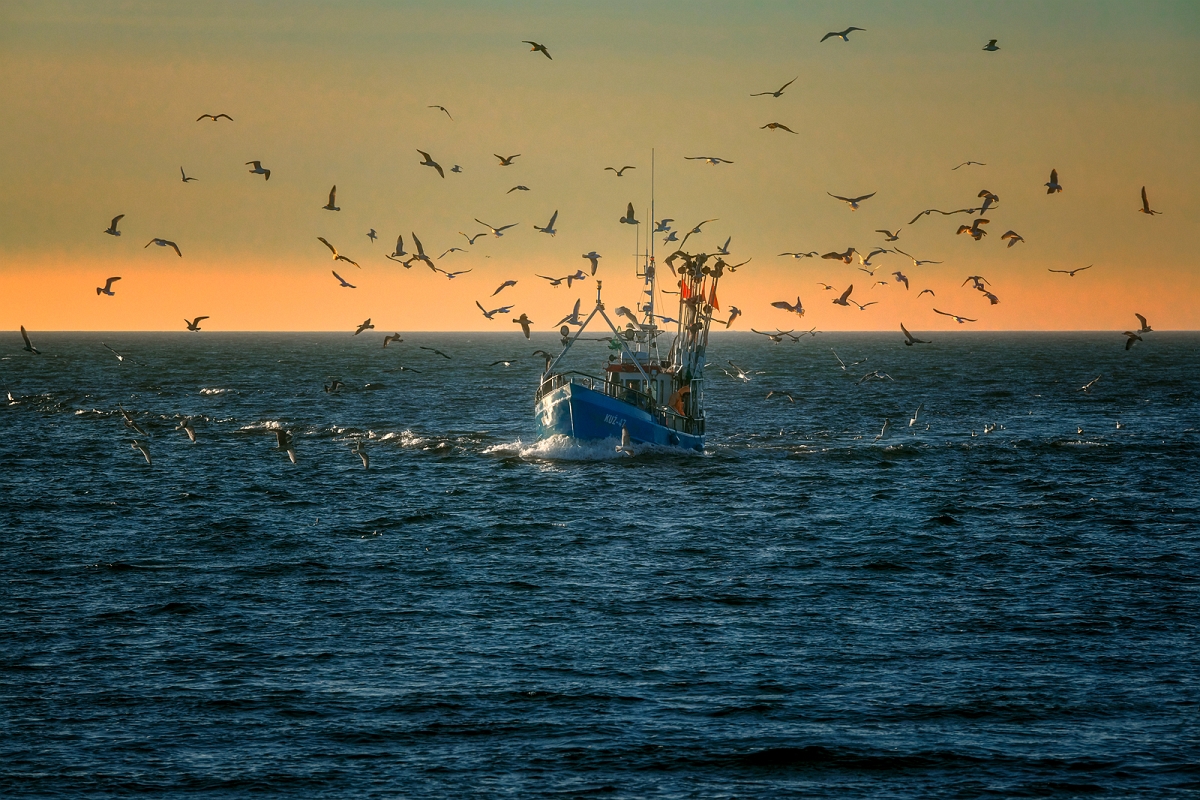 _DSC0776ortMinD.jpg - Powrot