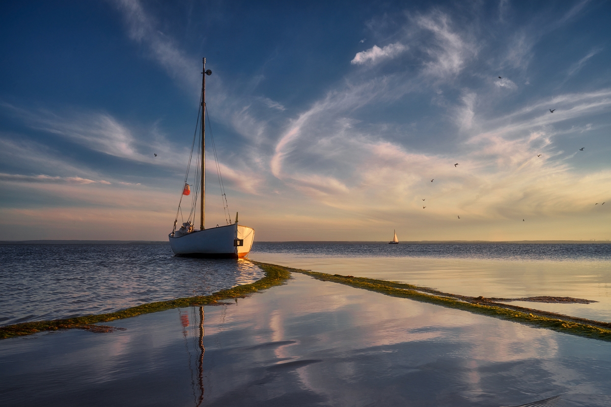 _DSC2407MinD.jpg - Kuznica