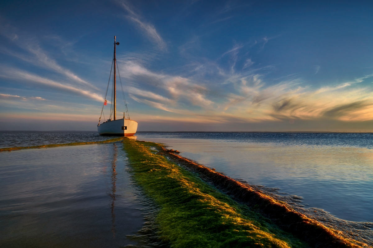 _DSC2467MinD.jpg - Kuznica