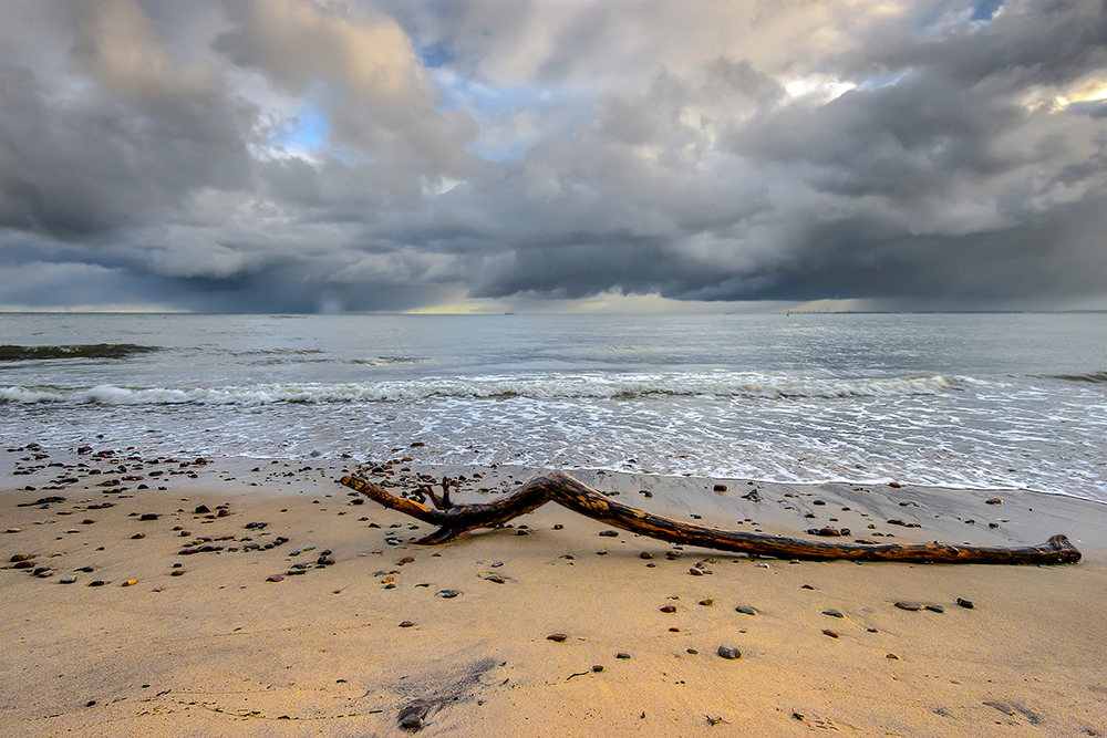 DSC_0291min.jpg - * Chmurno * Gdynia Orlowo