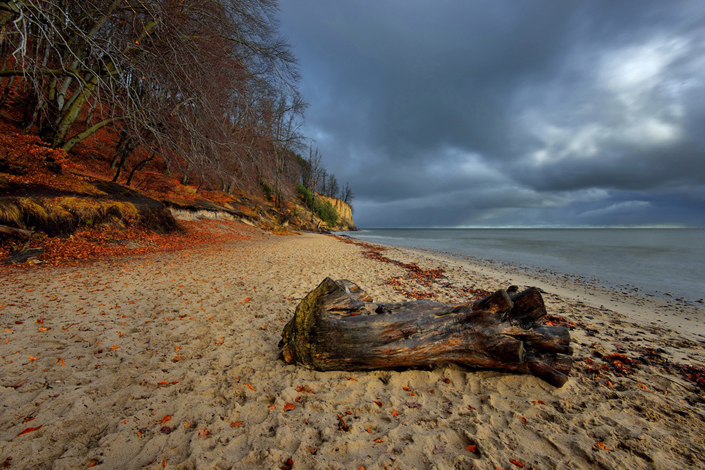 DSC_0292k3min.jpg - * Clif * Gdynia Orlowo