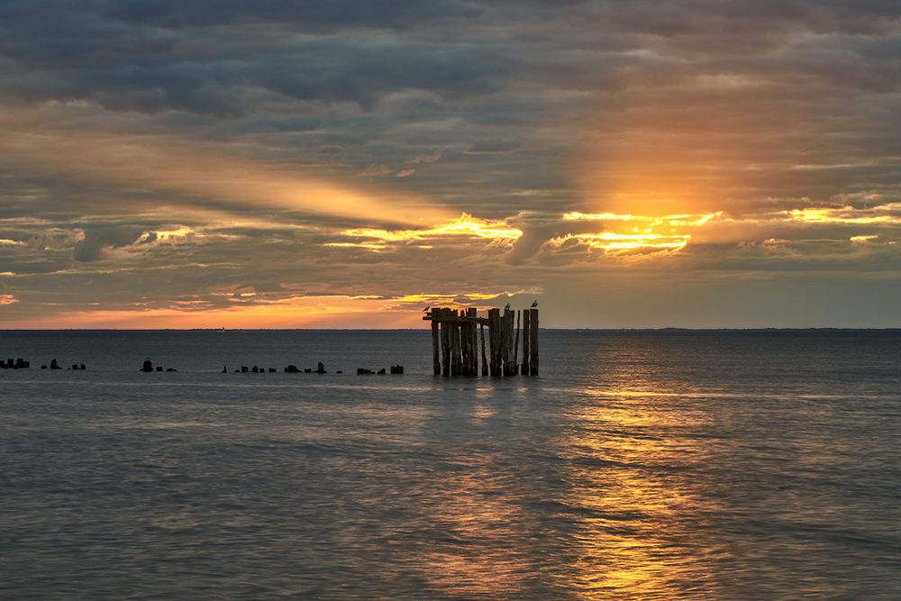 DSC_1758min.jpg - Ranek