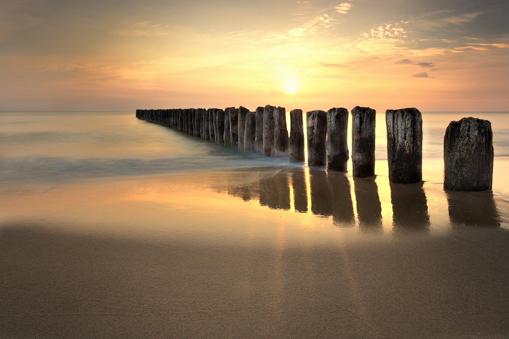 DSC_2480orgMin.jpg - * Swit *