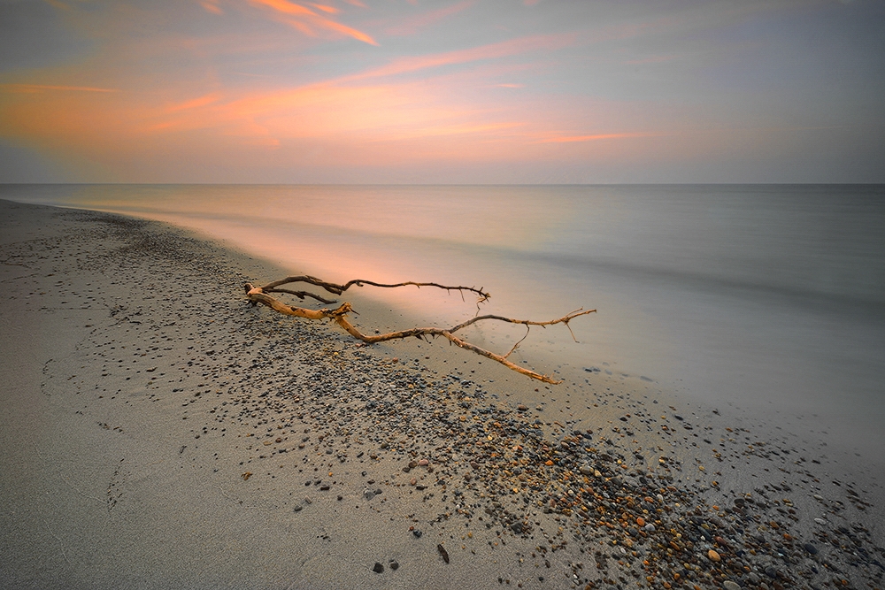 DSC_2706min.jpg - * Cichy poranek*  Hel