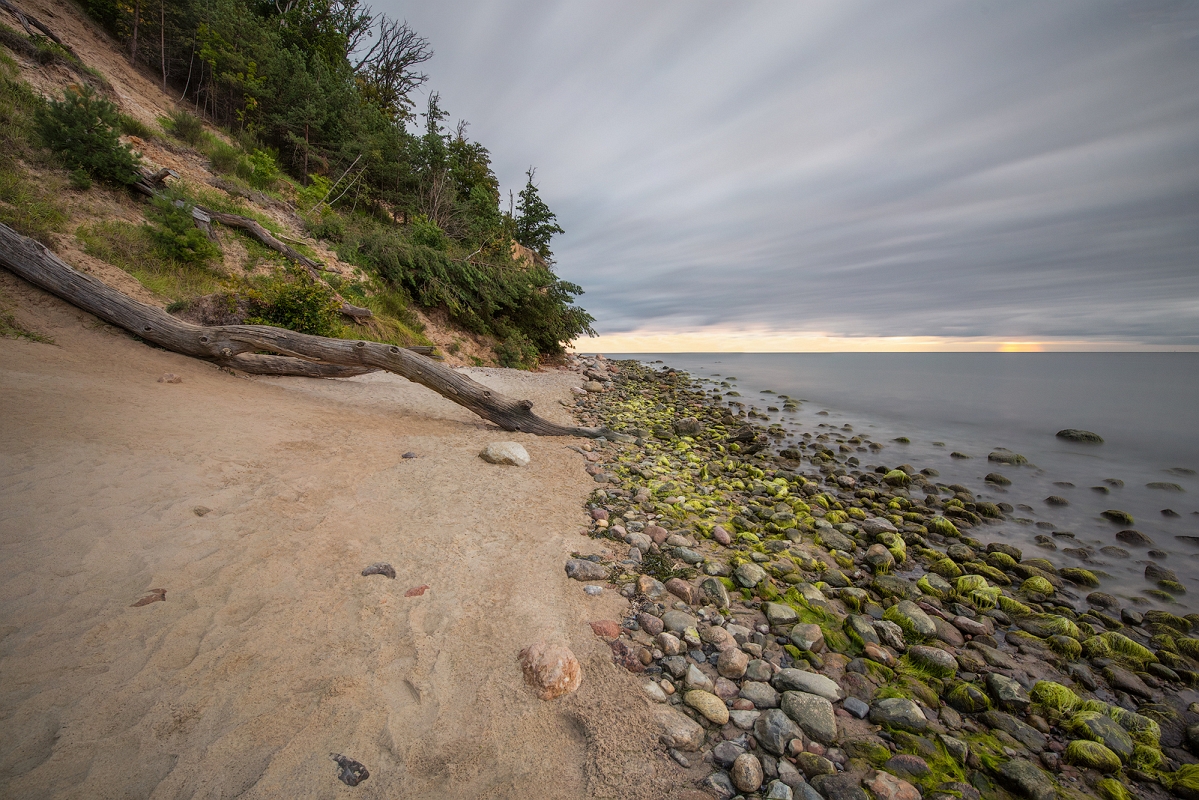 DSC_3246MinD.jpg - Klif - Gdynia Orłowo