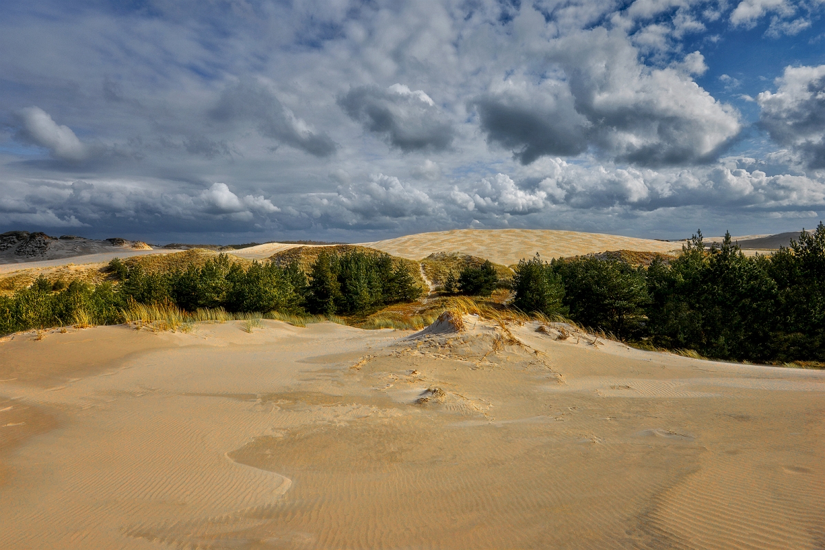 DSC_4347MinD.jpg - łeba Wydmy