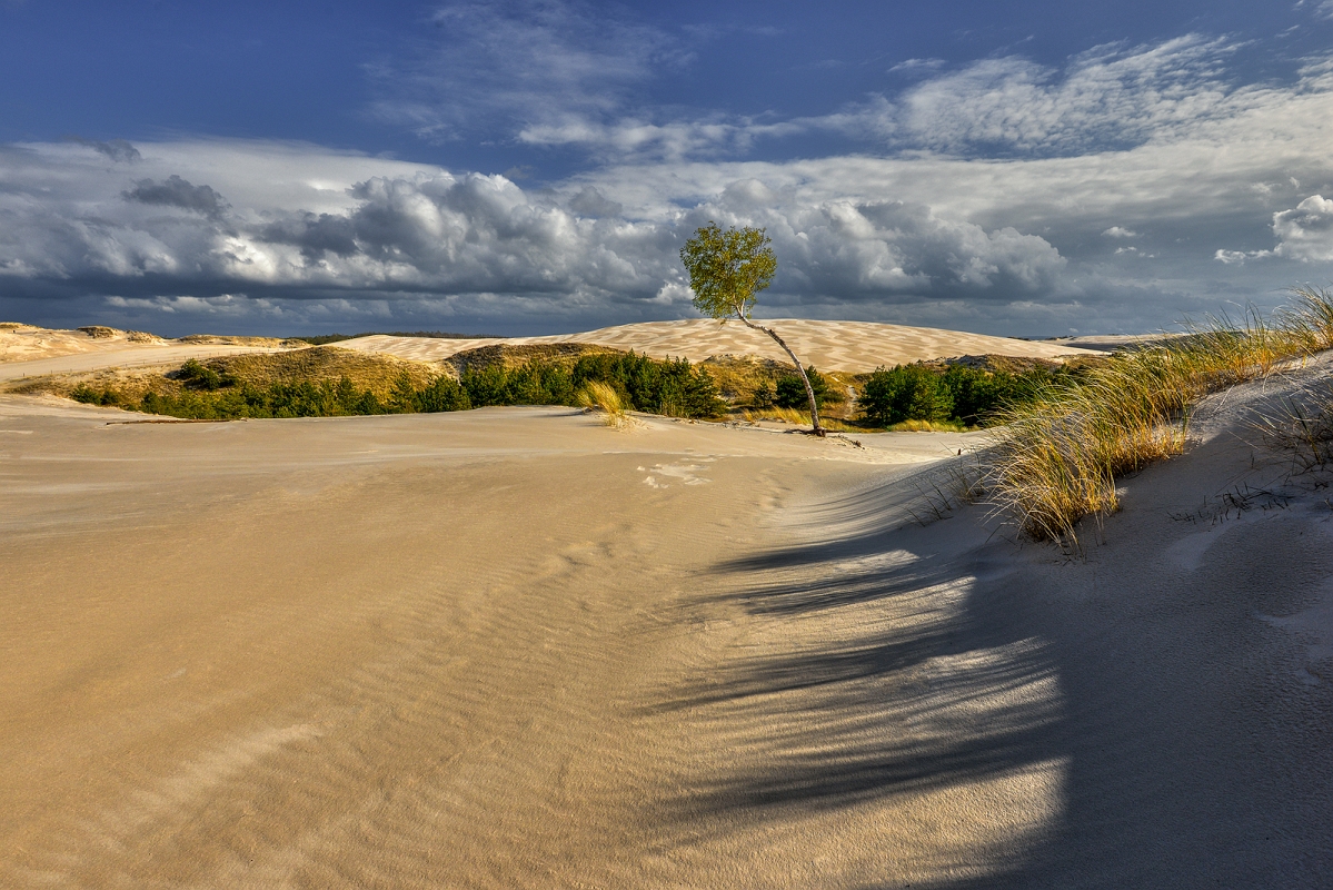 DSC_4418minD.jpg - Łeba